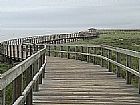 Trip photo