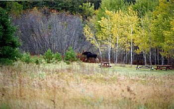 Campground photos